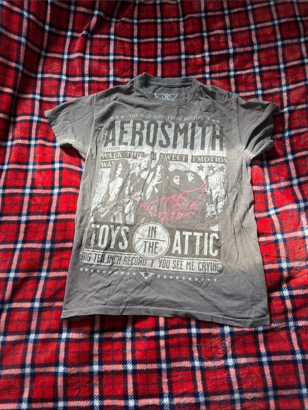 Aerosmith Graphic Short Sleeve Tee - Gray